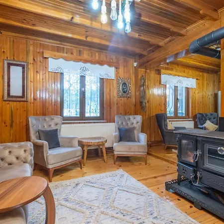 Villa Uludag & Dogus Uludag