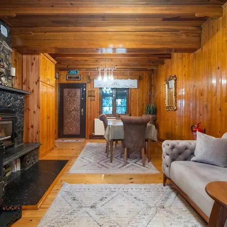 Villa Uludag & Dogus Uludag Bursa
