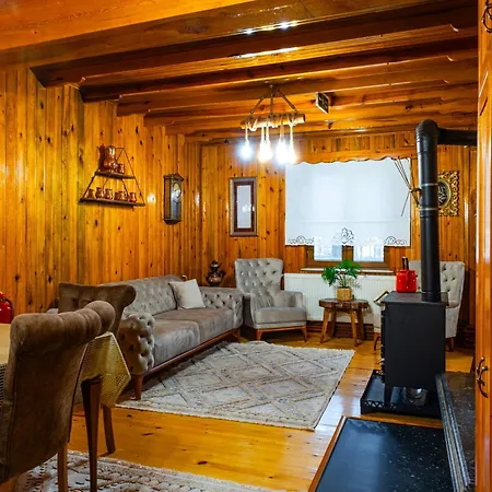 Villa Uludag & Dogus Uludag *