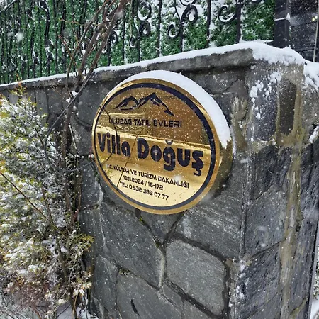 Uludag & Dogus Uludag *